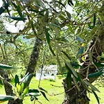 Relais Il Pozzeto Bed and Breakfast 3*